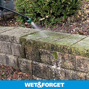 Wet & Forget Moss, Mold, Mildew, & Algae Stain Remover Multi-Surface Outdoor Cleaner Concentrate, Original, 64 Fluid Ounces