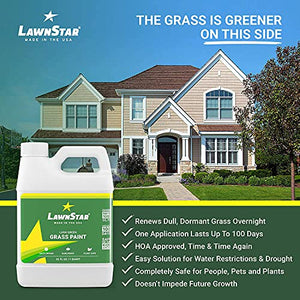 LawnStar Grass Lawn Plant Safe Paint Concentrate Retouch Colorant for Dead Dry Grass with 500-1,000 Square Ft Coverage, 32 Ounce, Lush Green (2 Pack)