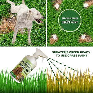 PetraTools Green Grass Paint for Lawn, Ready-To-Use Green Grass Lawn Spray & Dog Spot Repair, Lawn Paint, Spray on Grass, Green Lawn Spray, Green Grass Spray Paint for Lawn Yellow & Urine Spots, 16 Oz