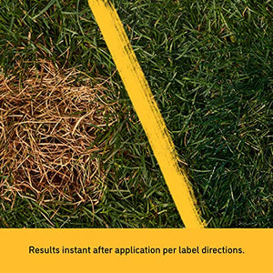 BarkYard UnMark Green Grass Paint and Lawn Spray for Dog Spot Repair That Covers up to 30 Urine Spots, 24 fl.oz. 2-Pack
