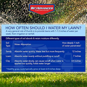 BioAdvanced Bermudagrass Control for Lawns, Ready-to-Spray, 32 oz