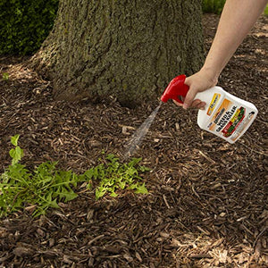 Spectracide Weed & Grass Killer 2, Use On Driveways, Walkways and Around Trees and Flower Beds, 32 fl Ounce Spray