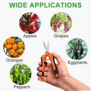 GROWNEER 3 Packs 6.5 Inch Pruning Shears Gardening Hand Pruning Snips Gardening Scissors with Straight Stainless Steel Precision Blades