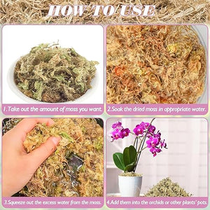 Halatool 1.1LBS Natural Sphagnum Moss for Plants 25 QT Premium Peat Moss Dried Long Fiber Orchid Moss for Orchid Repotting Carnivorous Succulents Garden Flowers Crafts Terrarium and Reptiles