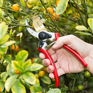 Haus & Garten ClassicPRO 8.5" Bypass Pruning Shears - Premium Garden Shears - Use As Gardening Shears, Garden Clippers, Handheld Heavy-Duty Professional Pruning Shears For Gardening & Pruning Scissors