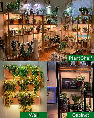 DOMMIA Grow Lights for Indoor Plants, 20W Full Spectrum Grow Light with Auto ON & Off Timer, 132 LEDs Sunlike Light for Hydroponics, Succulents & More, Easy to Assemble（2Pcs）