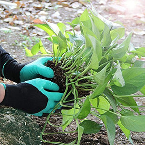 Famoy Claw Gardening Gloves, Garden Claw Glove for Women Gift (Green 1 Pair)