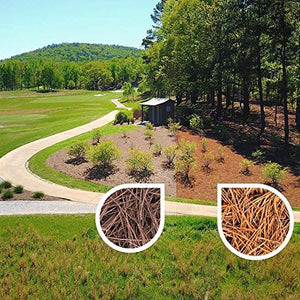 Nature Shades 32oz Pine Straw Colorant Southern Pine Autumn Pine (Autumn Pine)