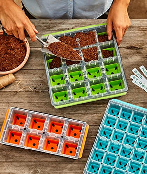 Burpee SuperSeed Seed Starting Tray | 36 Cell Reusable Seed Starter Tray | for Starting Vegetable, Flower & Herb Seeds | Indoor Grow Kit for Plant Seedlings | for Germination Success