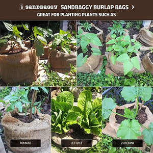 Sandbaggy 24" x 40" Burlap Plant Cover Bags - Frost & Freeze Protection Cloth for Outdoor Trees, Shrubs, Plants in Winter - Reusable, 100% Natural Burlap (1 Bag)