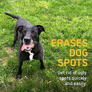 BarkYard UnMark Green Grass Paint and Lawn Spray for Dog Spot Repair That Covers up to 30 Urine Spots, 24 fl.oz. 2-Pack