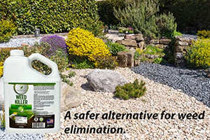 Natural Elements Weed Killer | Pet Safe, Safe Around Children | Natural Herbicide (1 Gallon)