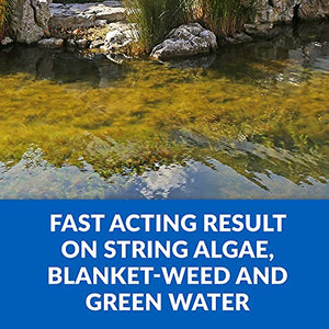 CrystalClear Algae D-Solv Pond Algae Control, Fast-Acting EPA Registered Algaecide, Use in Fountains & Outdoor Ponds Containing Koi & Other Fish, Treats 5,760 Gallons, 16 Ounces