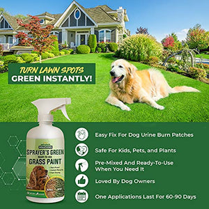 PetraTools Green Grass Paint for Lawn, Ready-To-Use Green Grass Lawn Spray & Dog Spot Repair, Lawn Paint, Spray on Grass, Green Lawn Spray, Green Grass Spray Paint for Lawn Yellow & Urine Spots, 16 Oz