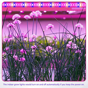 iPower 60W LED Plant Grow Light Strips Full Spectrum for Indoor Plants with Auto ON/Off 3/9/12H Timer, 10 Dimmable Levels 48 LEDs, Sunlike Grow Lamp for Hydroponics Succulent, 4 Tubes, Mix