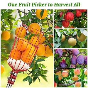 Fruit Picker Pole with Basket Long Handle, 8FT Adjustable Fruit Catcher Tool for Apple Mango Pear Orange Avocado Lemon Citrus Tree Picker