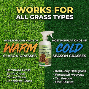 PetraTools Green Grass Paint for Lawn, Ready-To-Use Green Grass Lawn Spray & Dog Spot Repair, Lawn Paint, Spray on Grass, Green Lawn Spray, Green Grass Spray Paint for Lawn Yellow & Urine Spots, 16 Oz