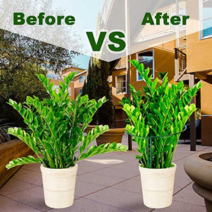 HiGift 6 Pack Plant Support Plant Stakes, Metal Peony Cages and Supports, Outdoor Garden Stakes Plant Cage, Large Plant Support Rings for Tomato,Rose,Flowers Vine,Indoor Tall Plants (10" W x 15.8" H)