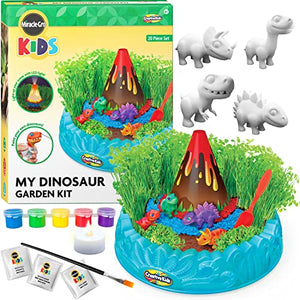 Creative Kids Miracle GRO Dinosaur Garden Kit, Multicolor