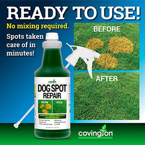 Covington Pre-Mixed Green Grass Paint for Lawn - Perfect Grass Color Fix for Dog Urine Spots or Brown Patches - Green Grass Spray Paint for Lawn & Turf - Just Point & Spray - (32 fl. oz.)
