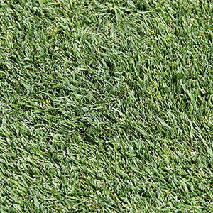 Pennington One Step Complete Tall Fescue 5lb. Grass Seed + Mulch + Fertilizer for Patch Repair
