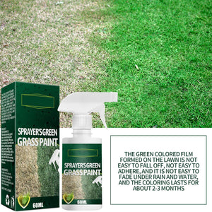 Kaying Green Grass Paint For Lawn,Natural Looking Turf,Ready-to-Use Lawn S-pray & Dog Spot Repair,Lawn Paint,S-pray On Grass,Green S-pray,Green Yellow Urine-60ml