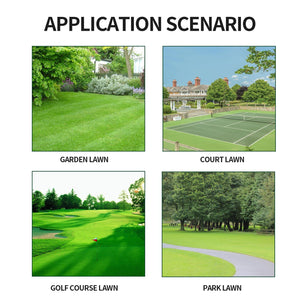 Kaying Green Grass Paint For Lawn,Natural Looking Turf,Ready-to-Use Lawn S-pray & Dog Spot Repair,Lawn Paint,S-pray On Grass,Green S-pray,Green Yellow Urine-60ml