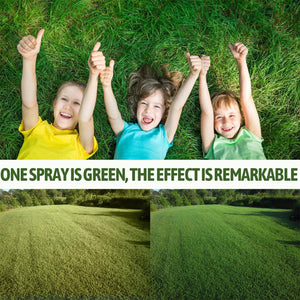 Kaying Green Grass Paint For Lawn,Natural Looking Turf,Ready-to-Use Lawn S-pray & Dog Spot Repair,Lawn Paint,S-pray On Grass,Green S-pray,Green Yellow Urine-60ml