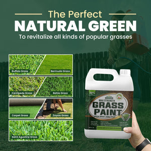 PetraTools Grass Paint Max Strength (1 Gal) and 4 Gallon Battery Powered Backpack Sprayer